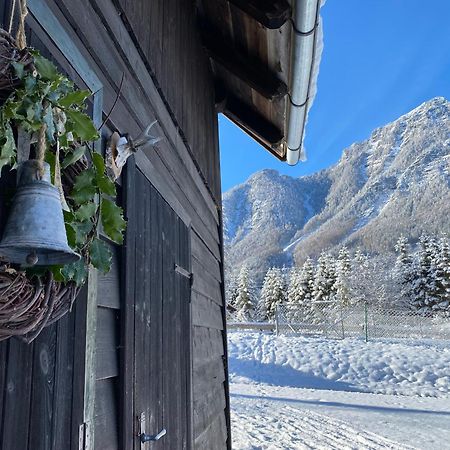 Chalet Am Weissenbach Hinterstoder Eksteriør bilde