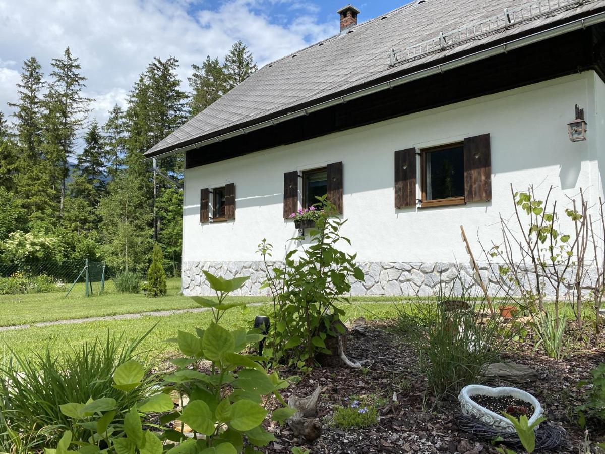 Chalet Am Weissenbach Hinterstoder Eksteriør bilde