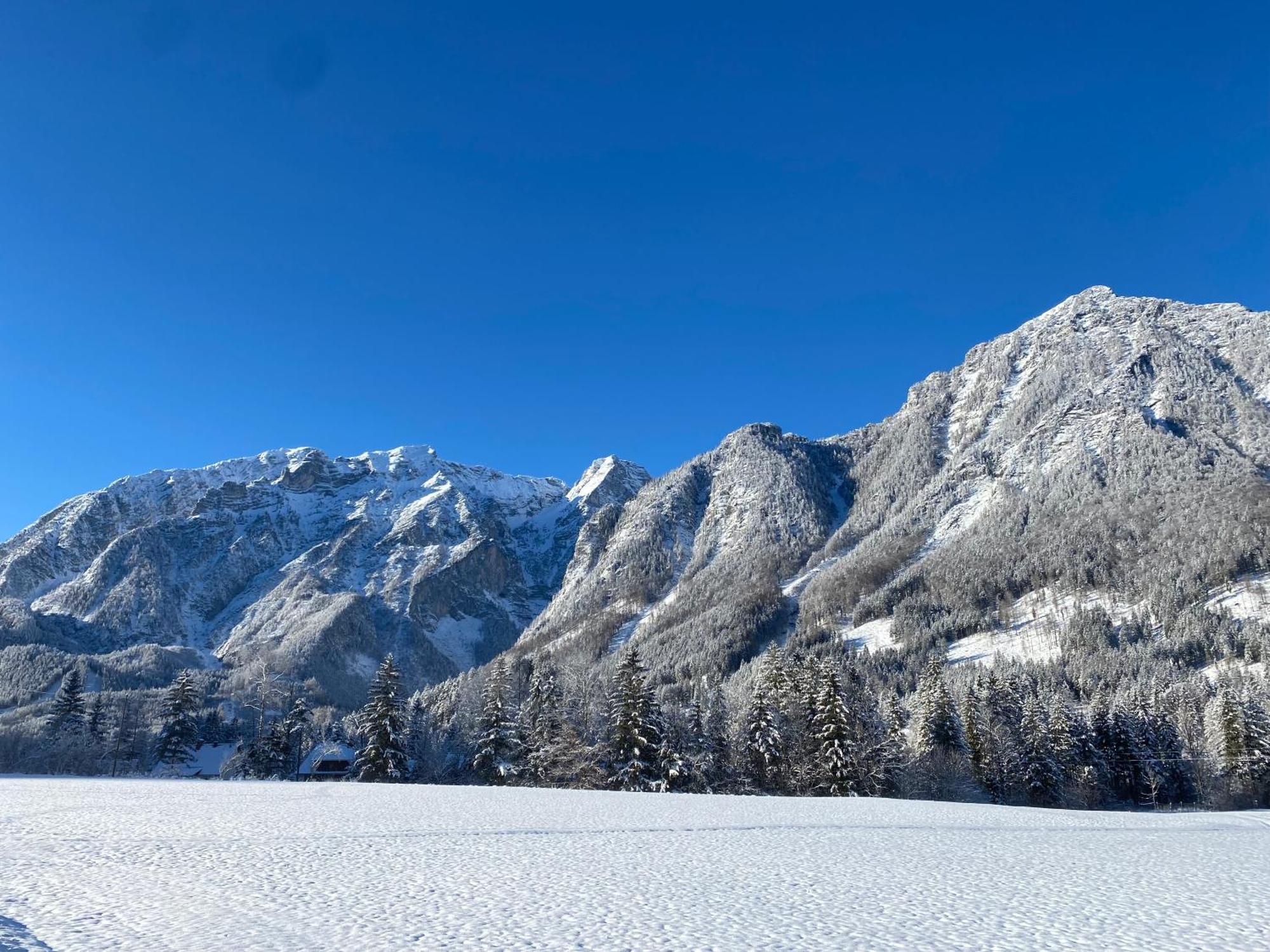 Chalet Am Weissenbach Hinterstoder Eksteriør bilde